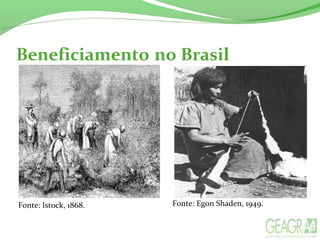 Beneficiamento no Brasil
Fonte: Istock, 1868. Fonte: Egon Shaden, 1949.
 