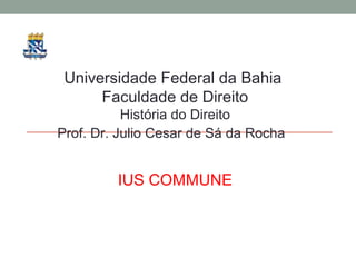 Universidade Federal da Bahia
      Faculdade de Direito
           História do Direito
Prof. Dr. Julio Cesar de Sá da Rocha


         IUS COMMUNE
 