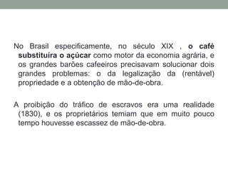 No Brasil especificamente, no século XIX ,  o café substituíra o açúcar  como motor da economia agrária, e os grandes barões cafeeiros precisavam solucionar dois grandes problemas: o da legalização da (rentável) propriedade e a obtenção de mão-de-obra.  A proibição do tráfico de escravos era uma realidade (1830), e os proprietários temiam que em muito pouco tempo houvesse escassez de mão-de-obra.  