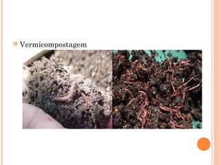  Vermicompostagem
 