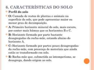 6. CARACTERÍSTICAS DO SOLO
 Perfil do solo
 O: Camada de restos de plantas e animais na
superfície do solo, que pode apresentar maior ou
menor grau de decomposição.
 A: Primeiro horizonte mineral do solo, mais escuro,
por conter mais húmus que os horizontes B e C.
 B: Horizonte formado por parte bastante
desagregadas da rocha-mãe, estando abaixo do
horizonte A.
 C: Horizonte formado por partes pouco desagregadas
da rocha-mãe, com presença de materiais que ainda
estão se transformado em solo.
 R: Rocha-mãe que, submetida ao intemperismo, se
desagrega, dando origem ao solo.
 