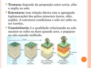  Textura: depende da proporção entre areia, silte
e argila no solo.
 Estrutura: tem relação direta com a agregação
(aglomeração) dos grãos minerais (areia, silte,
argila). A estrutura condiciona o solo ser solto ou
ter torrões.
 Consistência: é a qualidade relacionada ao solo
manter-se solto ou duro quando seco, e pegajoso
ou não quando molhado.
 
