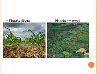  Plantio direto Plantio em nível
 