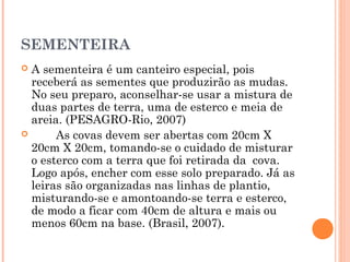 SEMENTEIRA
 A sementeira é um canteiro especial, pois
receberá as sementes que produzirão as mudas.
No seu preparo, aconselhar-se usar a mistura de
duas partes de terra, uma de esterco e meia de
areia. (PESAGRO-Rio, 2007)
 As covas devem ser abertas com 20cm X
20cm X 20cm, tomando-se o cuidado de misturar
o esterco com a terra que foi retirada da cova.
Logo após, encher com esse solo preparado. Já as
leiras são organizadas nas linhas de plantio,
misturando-se e amontoando-se terra e esterco,
de modo a ficar com 40cm de altura e mais ou
menos 60cm na base. (Brasil, 2007).
 