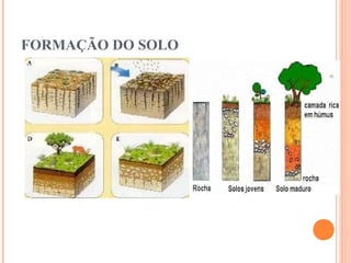 FORMAÇÃO DO SOLO
 