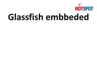 Glassfish embbeded

 