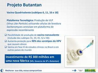 Projeto Butantan
Vacina Quadrivalente (subtipos 6, 11, 16 e 18)
Plataforma Tecnológica: Produção do VLP
(Virus Like Particle) utilizando células de levedura
Sacharomyces cerevisae em plataforma de
expressão recombinante
 Possibilidade de produção de vacina nonavalente
(inclusão dos subtipos 31, 33, 45, 52 e 58):
 Aumenta proteção para 90% dos sorotipos do HPV
que causam câncer.
 Vacina em fase III de estudos clínicos no Brasil e em
outros países do mundo
Investimento de R$ 300 milhões em
uma nova fábrica (MS, Governo de SP e Butantan)
 