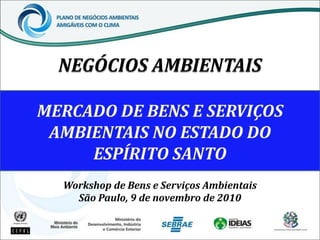 NEGÓCIOS AMBIENTAIS
Workshop de Bens e Serviços Ambientais
São Paulo, 9 de novembro de 2010
 