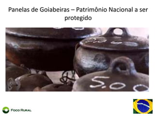 Indicação de Procedência da Uva de Mesa e Manga do Vale Submédio São Francisco – PE / BA