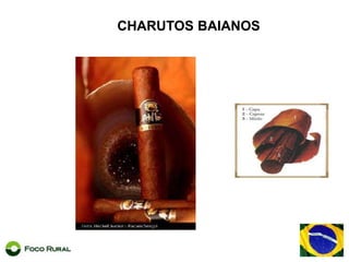 Vinhostintos, brancos e espumantesPINTO BANDEIRA - RS