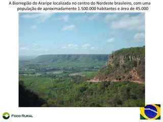 Outros 20 projetosemconstruçãoMéisPrópolis Vermelha e VerdeTextéisde algodão colorido	Cachaças Doces de PelotasVinhos e espumantesPirarucu da Amazônia Pedra Opala	Bordados Divina Pastora, Filé das Alagoas e Renascença do Cariri ParaibanoBrinquedos Cafés MármoreOstrasFrutasGuaranáFarinha de Mandioca