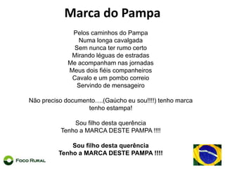 ARROZ DO LITORAL NORTE GAÚCHO