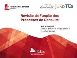 1 
Revisão da Função dos 
Processos de Consulta 
Túlio M. Martins 
Assessor de Súmula, Jurisprudência e 
Consultas Técnicas 
 
