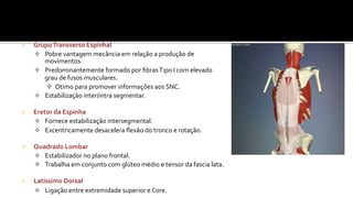 ²  Grupo	
  Transverso	
  Espinhal	
  
²  Pobre	
  vantagem	
  mecância	
  em	
  relação	
  a	
  produção	
  de	
  
movimentos.	
  
²  Predominantemente	
  formado	
  por	
  ﬁbras	
  Tipo	
  I	
  com	
  elevado	
  
grau	
  de	
  fusos	
  musculares.	
  
²  Otimo	
  para	
  promover	
  informações	
  aos	
  SNC.	
  
²  Estabilização	
  inter/intra	
  segmentar.	
  
²  Eretor	
  da	
  Espinha	
  
²  Fornece	
  estabilização	
  intersegmental.	
  
²  Excentricamente	
  desacelera	
  ﬂexão	
  do	
  tronco	
  e	
  rotação.	
  
²  Quadrado	
  Lombar	
  
²  Estabilizador	
  no	
  plano	
  frontal.	
  
²  Trabalha	
  em	
  conjunto	
  com	
  glúteo	
  mëdio	
  e	
  tensor	
  da	
  fascia	
  lata.	
  
²  Latíssimo	
  Dorsal	
  
²  Ligação	
  entre	
  extremidade	
  superior	
  e	
  Core.	
  
 