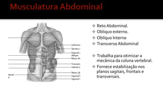 ²  Reto	
  Abdominal.	
  
²  Obliquo	
  externo.	
  
²  Oblíquo	
  Interno	
  
²  Transverso	
  Abdominal	
  
²  Trabalha	
  para	
  otimizar	
  a	
  
mecânica	
  da	
  coluna	
  vertebral.	
  
²  Fornece	
  estabilização	
  nos	
  
planos	
  sagitais,	
  frontais	
  e	
  
transversais.	
  
 