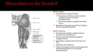 ²  Glúteo	
  médio	
  
²  Estabilizador	
  no	
  plano	
  frontal	
  
²  Fraqueza	
  aumenta	
  o	
  stress	
  no	
  plano	
  
frontal	
  e	
  transverso	
  (stress	
  
patelofemural).	
  
²  Controla	
  adução	
  e	
  rotação	
  interna	
  do	
  
femur.	
  
²  Resultados	
  fraqueza	
  no	
  domínio	
  sinérgico	
  
de	
  TFL	
  e	
  quadrado	
  lombar.	
  
²  Glúteo	
  máximo.	
  
²  Extensão	
  do	
  quadril	
  e	
  rotação	
  externa	
  
durante	
  CCA,	
  concêntrica.	
  
²  Excentricamente	
  ﬂexão	
  de	
  quadril	
  e	
  
rotação	
  interna.	
  
²  Desacelera	
  rotação	
  interna	
  da	
  tibia	
  com	
  
TFL.	
  
²  Estabiliza	
  articulação	
  SI.	
  
²  Falha	
  na	
  ativaçao	
  resulta	
  na	
  diminuição	
  da	
  
estabilização	
  pélvica	
  e	
  no	
  controle	
  
neuromuscular.	
  
 