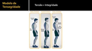 Modelo	
  de	
  
Tensegridade	
  
Tensão	
  +	
  Integridade	
  
 