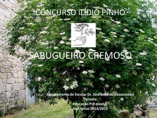 CONCURSO ILÍDIO PINHO
SABUGUEIRO CREMOSO
Agrupamento de Escolas Dr. José Leite de Vasconcelos
Tarouca
Educação Pré-escolar...