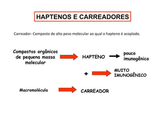HAPTENOS E CARREADORES
Carreador- Composto de alto peso molecular ao qual o hapteno é acoplado.

Compostos orgânicos
de pequena massa
molecular

HAPTENO

+
Macromolécula

CARREADOR

pouco
imunogênico
MUITO
IMUNOGÊNICO

 