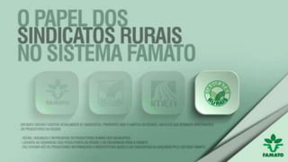 Apresentação institucional famato