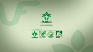 Apresentação institucional famato