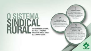 OSISTEMA
SINDICAL
RURAL
Sistema Sindical Rural é a voz e
a força do produtor rural, sendo
ele composto por:
• SindicatosRurais
Que atuam em nível municipalou intermunicipal,filiandoos
Empregadores Rurais de sua base territorial.
• Federações de Agricultura e Pecuária
No nível ESTADUAL, são as entidadesque representam os
SindicatosRurais
• Confederação da Agriculturae Pecuária do Brasil – CNA
Na esfera NACIONAL é a CNA que representa os
Empregadores Rurais e de Pecuária de todo o país,
congregando todas as Federações Estaduaisde Agricultura
e/ou Pecuária existentes.
