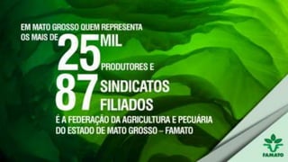 Apresentação institucional famato