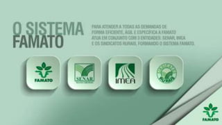 Apresentação institucional famato