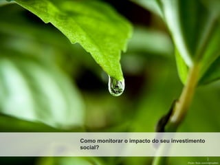 Como monitorar o impacto do seu investimento
social?

                                     Photo: flickr.com/mehradhm
 