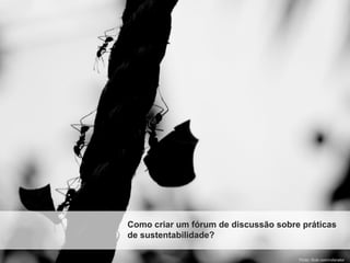 Como criar um fórum de discussão sobre práticas
de sustentabilidade?

                                      Photo: flickr.com/rofanator
 