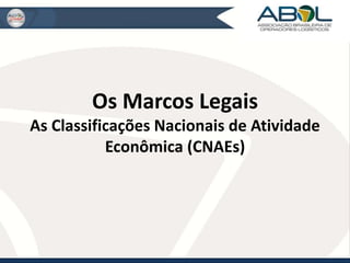 Os Marcos Legais 
As Classificações Nacionais de Atividade 
Econômica (CNAEs) 
 