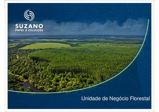 Unidade de Negócio Florestal
 