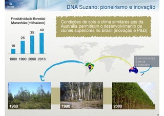DNA Suzano: pioneirismo e inovação

       Condições de solo e clima similares aos da
       Austrália permitiram o desenvolvimento de
       clones superiores no Brasil (inovação e P&D)




1980   1990                      2000

                                                      16
 