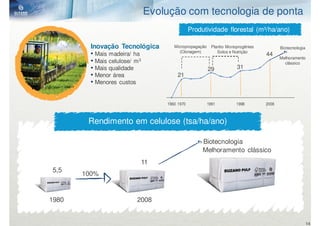 Evolução com tecnologia de ponta
                                                 Produtividade florestal (m³/ha/ano)

         Inovação Tecnológica           Micropropagação     Plantio Monoprogênies          Biotecnologia
         • Mais madeira/ ha               (Clonagem)           Solos e Nutrição
                                                                                    44
                                                                                           Melhoramento
         • Mais celulose/ m 3                                                                clássico
         • Mais qualidade                                 29            31
         • Menor área                     21
         • Menores custos


                                     1960 1970            1991          1998        2008



        Rendimento em celulose (tsa/ha/ano)

                                                      Biotecnologia
                                                      Melhoramento clássico
                                11
5,5
       100%


1980                       2008


                                                                                                           14
 