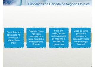 Prioridades da Unidade de Negócio Florestal




                Explorar novos        Foco em          Visão de longo
Consolidar as
                   negócios         reduções de           prazo em
operações no
                relacionados a     custos/logística      pesquisa e
  Nordeste:
                base florestal e    de madeira e      desenvolvimento
 Maranhão e
                 competências        excelência         na tecnologia
    Piauí
                    Suzano           operacional           florestal




                                                                        18
 