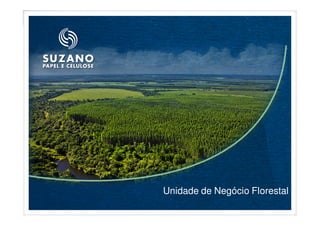 Unidade de Negócio Florestal
 