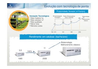 Evolução com tecnologia de ponta
                                                Produtividade florestal (m³/ha/ano)

         Inovação Tecnológica          Micropropagação     Plantio Monoprogênies          Biotecnologia
                                         (Clonagem)
         • Mais madeira/ ha                                   Solos e Nutrição
                                                                                   44
                                                                                          Melhoramento
         • Mais celulose/ m3                                                                clássico
         • Mais qualidade                                29            31
         • Menor área                    21
         • Menores custos


                                    1960 1970            1991          1998        2008



        Rendimento em celulose (tsa/ha/ano)

                                                     Biotecnologia
                                                     Melhoramento clássico
                               11
5,5
       100%


1980                      2008


                                                                                                          14
 