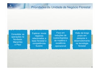 Prioridades da Unidade de Negócio Florestal




                Explorar novos        Foco em          Visão de longo
Consolidar as
                   negócios         reduções de           prazo em
operações no
                relacionados a     custos/logística      pesquisa e
  Nordeste:
                base florestal e    de madeira e      desenvolvimento
 Maranhão
                 competências        excelência         na tecnologia
   e Piauí
                    Suzano           operacional           florestal




                                                                        18
 