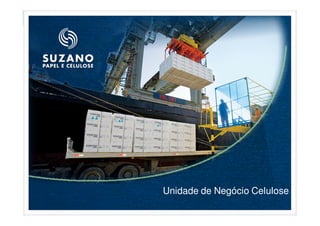 Unidade de Negócio Celulose
 