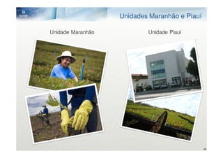 Unidades Maranhão e Piauí

Unidade Maranhão           Unidade Piauí




                                               46
 
