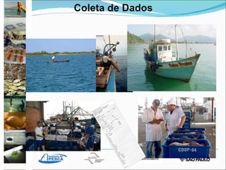 Coleta de Dados 