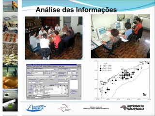 Análise das Informações 
