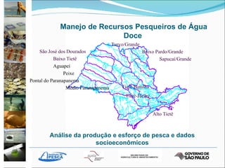 São José dos Dourados   Baixo Tietê Aguapeí Peixe Pontal do Paranapanema Médio Paranapanema Tietê-Batalha Tietê-Jacaré Alto Tietê Turvo/Grande Baixo Pardo/Grande Sapucaí/Grande Análise da produção e esforço de pesca e dados socioeconômicos Manejo de Recursos Pesqueiros de Água Doce 