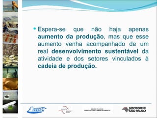 Espera-se que não haja apenas  aumento da produção , mas que esse aumento venha acompanhado de um real  desenvolvimento sustentável  da atividade e dos setores vinculados à  cadeia de produção.   
