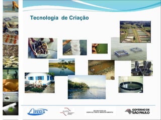 Tecnologia  de Criação 