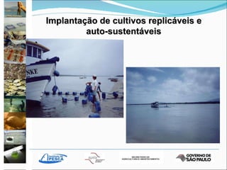 Implantação de cultivos replicáveis e auto-sustentáveis 