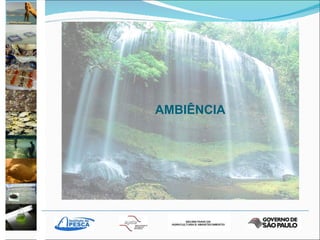 AMBIÊNCIA 