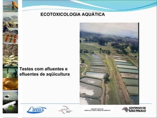 Testes com afluentes e efluentes de aqüicultura ECOTOXICOLOGIA AQUÁTICA 