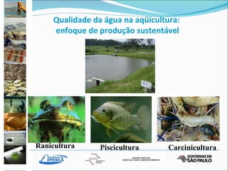 Carcinicultura Piscicultura Ranicultura Qualidade da água na aqüicultura:  enfoque de produção sustentável 