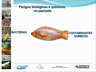 Perigos biológicos e químicos no pescado BACTÉRIAS CONTAMINANTES QUÍMICOS 